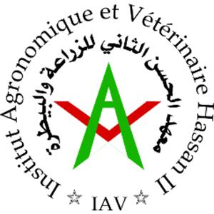 Lettre De Motivation Ingenieur Systeme D'information 