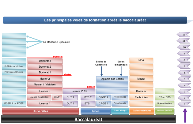 Etudes au Maroc : Que faire après le BAC?  Laformation.ma