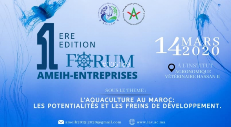 Forum AMEIH-Entreprises – AMEIH  Laformation.ma