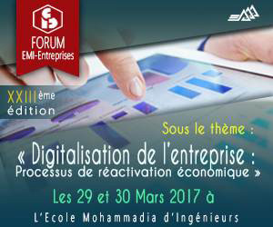 Emi-entreprises 17
